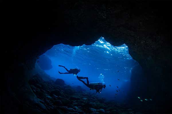 Image for Reframing Our Awe of Nature to Help Save the Environment