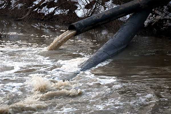 Image for Wastewater Spills into the Potomac: Clean up Requires Manmade and Natural Teamwork